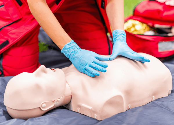 CPR Mannequin With Hand Placement Image